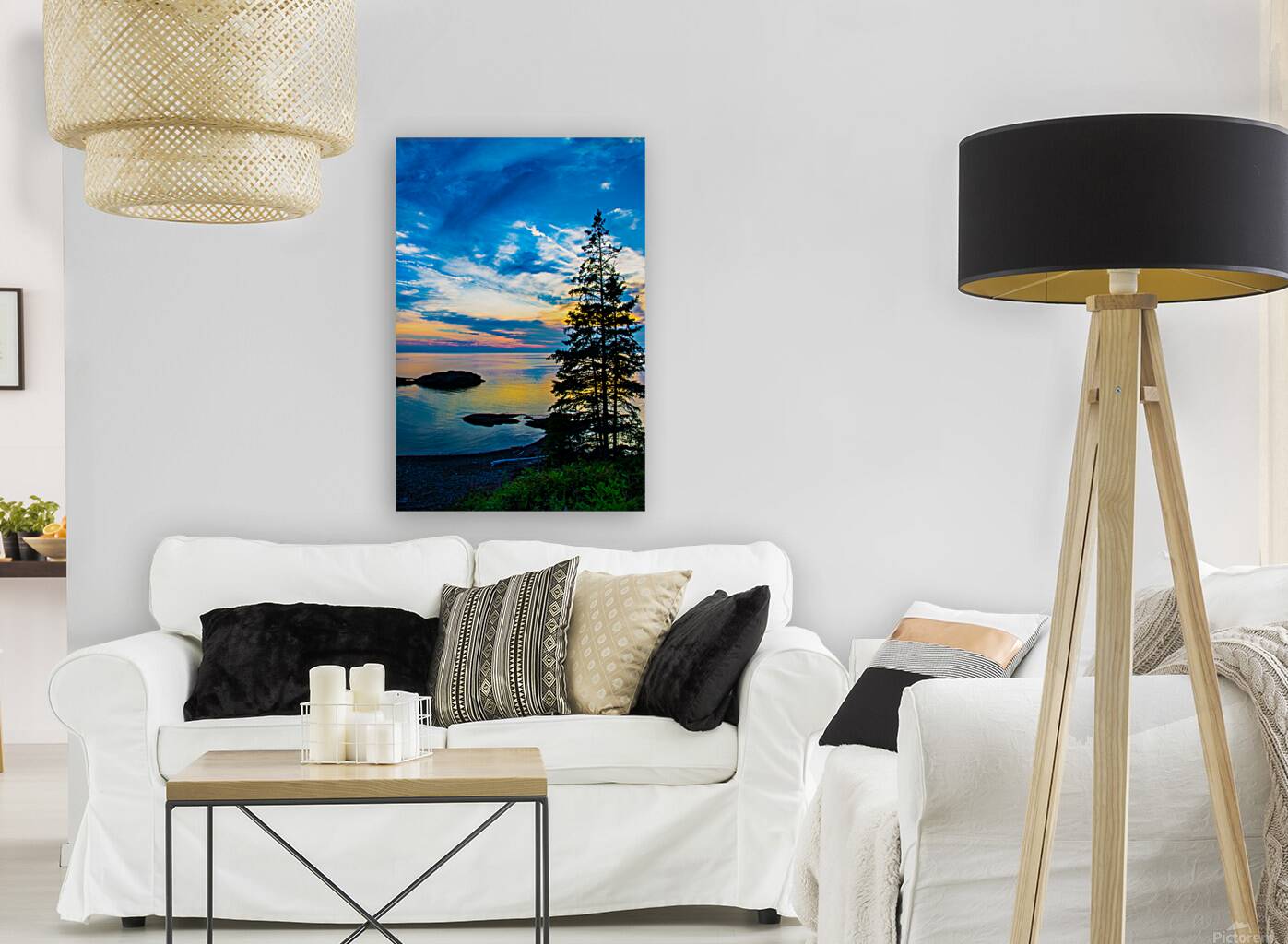 JBS 5304 Reproduction