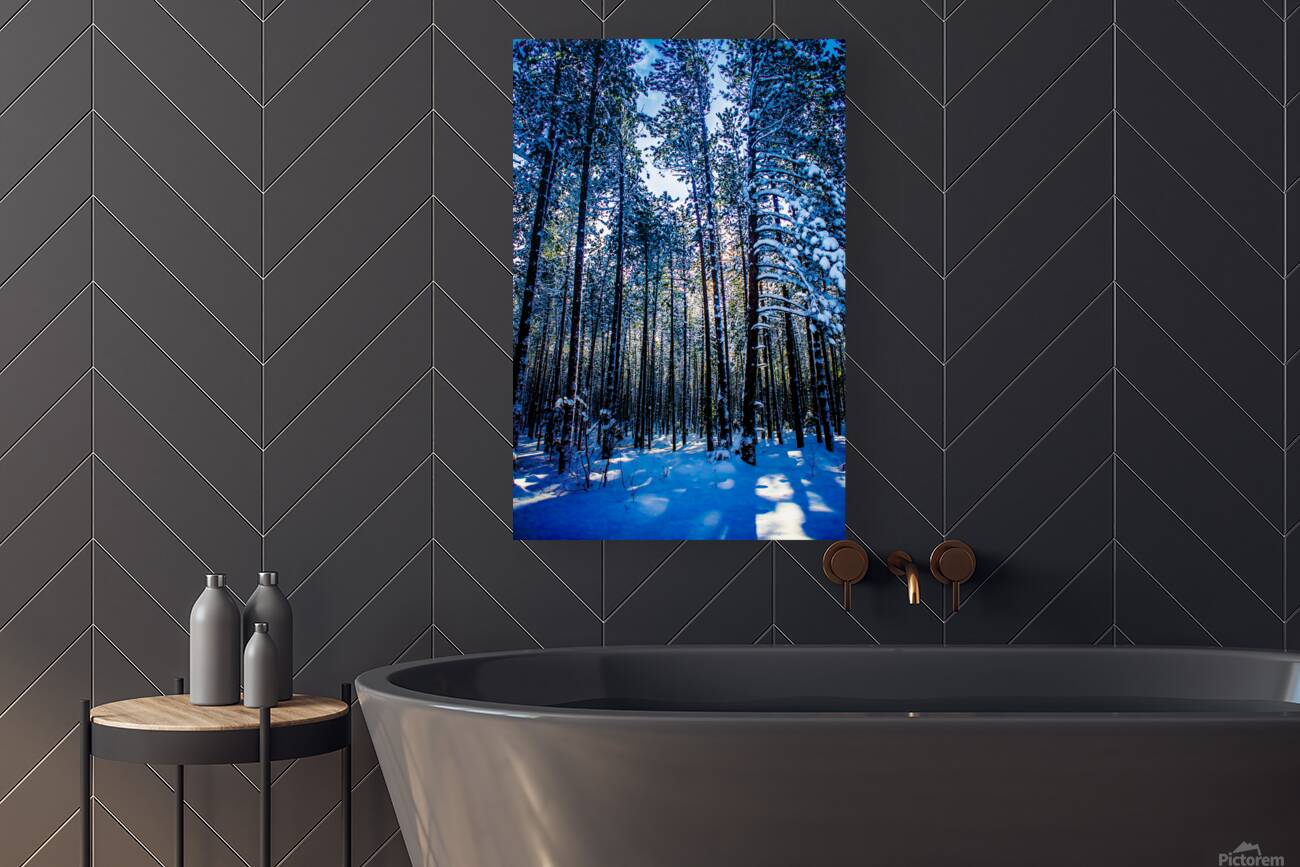 JBS 4409 Reproduction