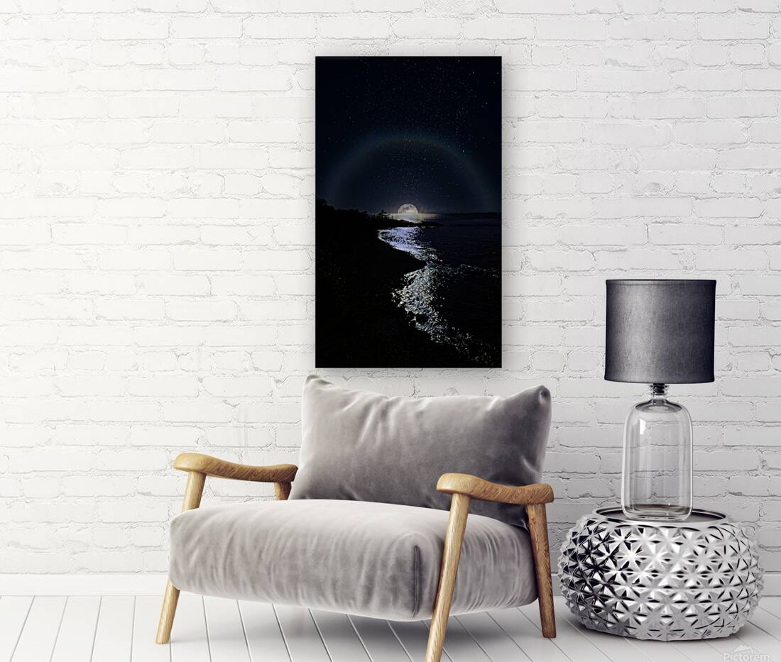 JBS 3166 Reproduction