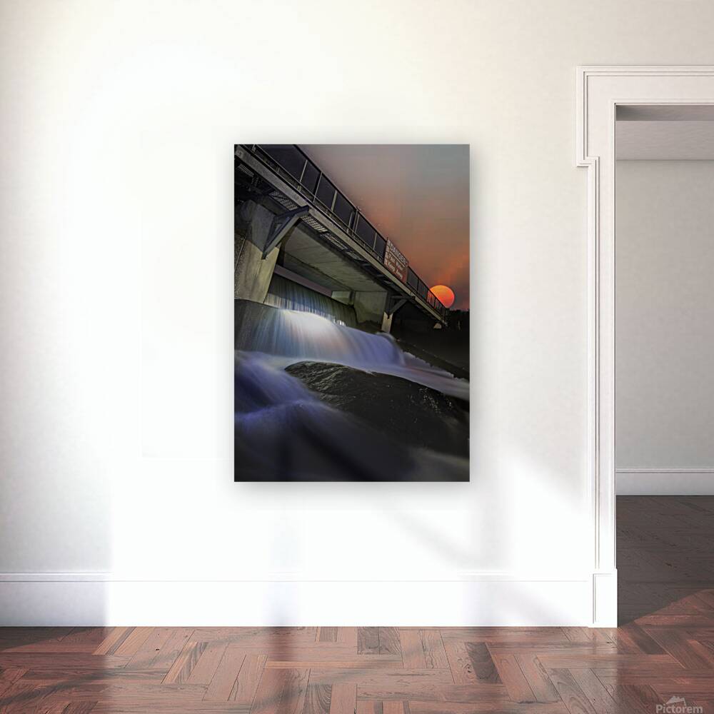 JBS 4686 Reproduction