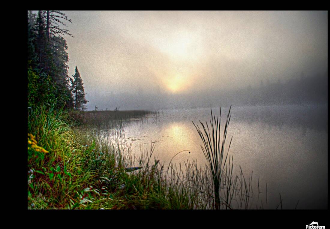 JBS 2558 Reproduction