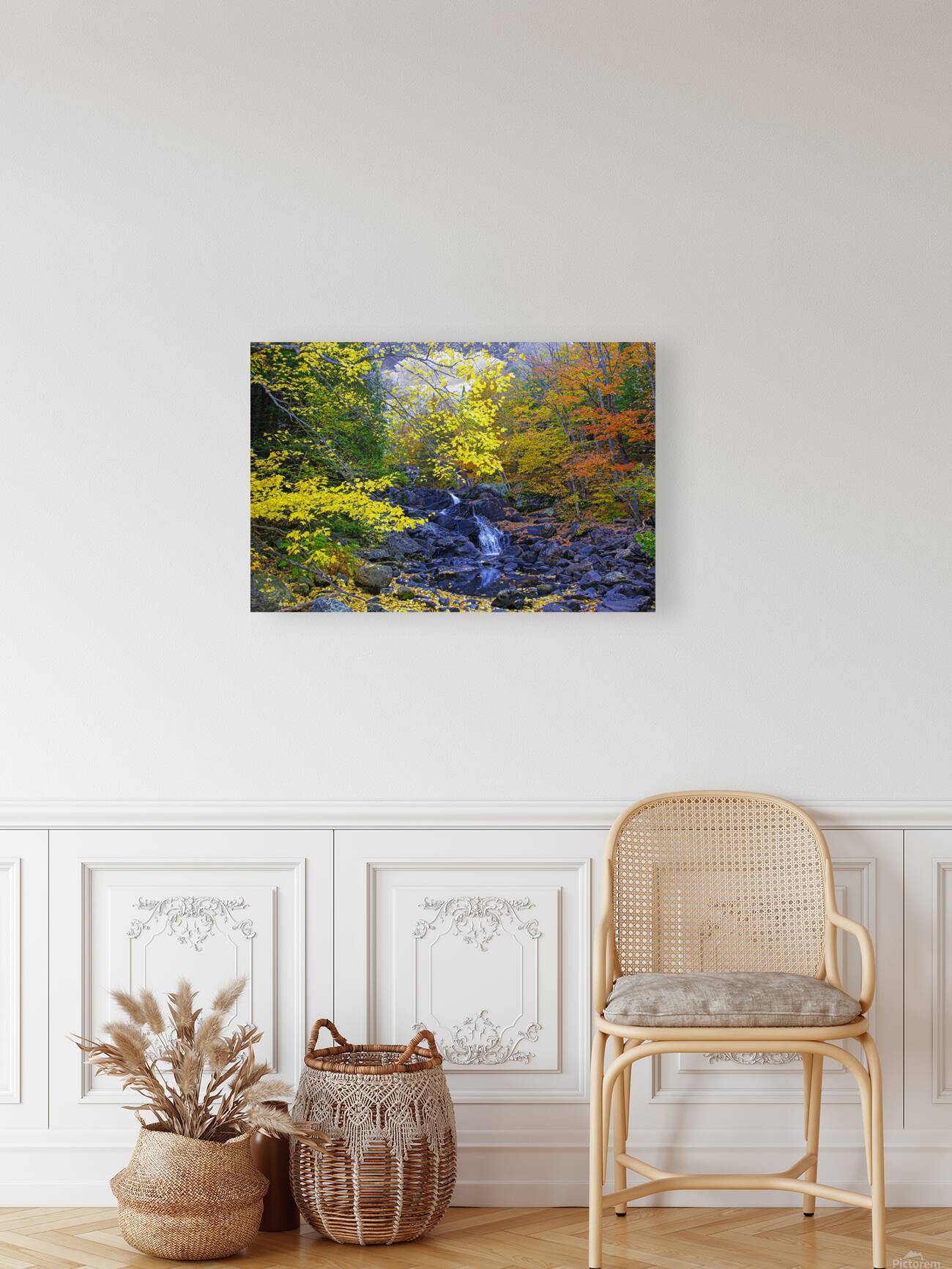 ZJS 5787 Reproduction