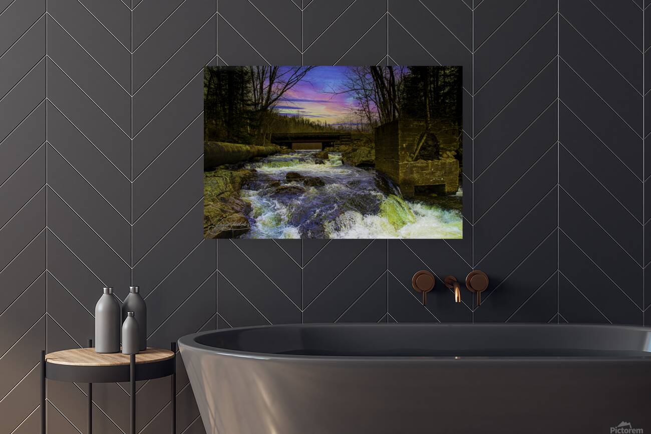 JBS 9699 Reproduction