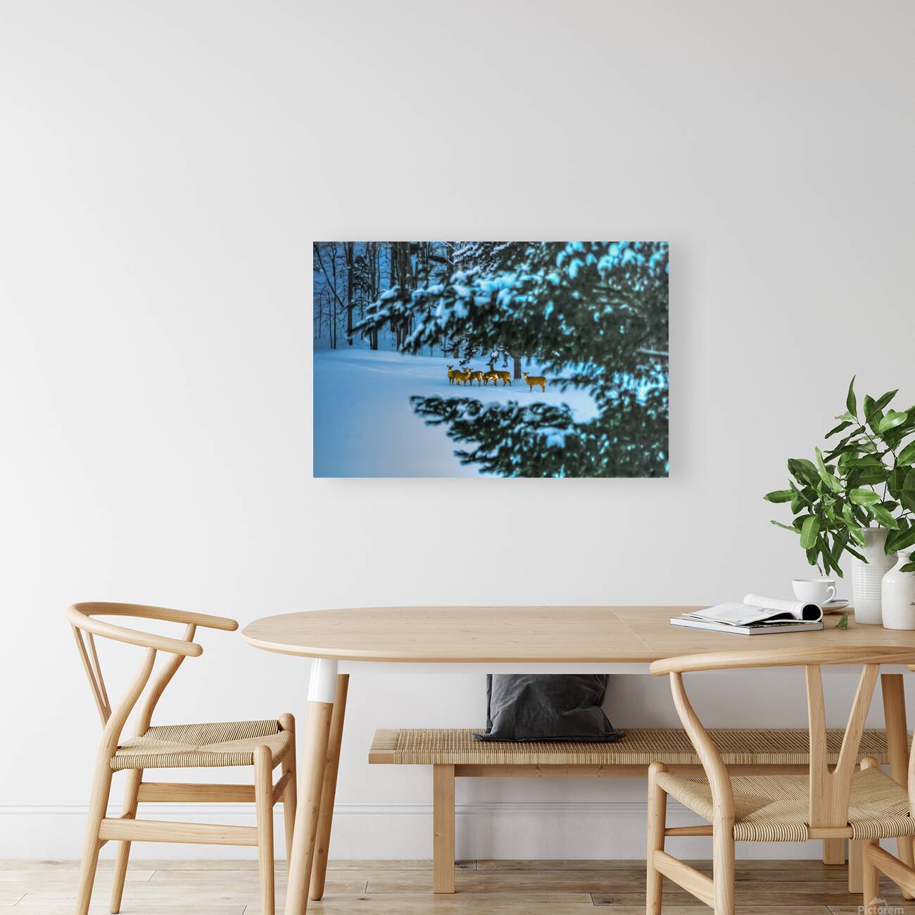 DSC 5646 Reproduction