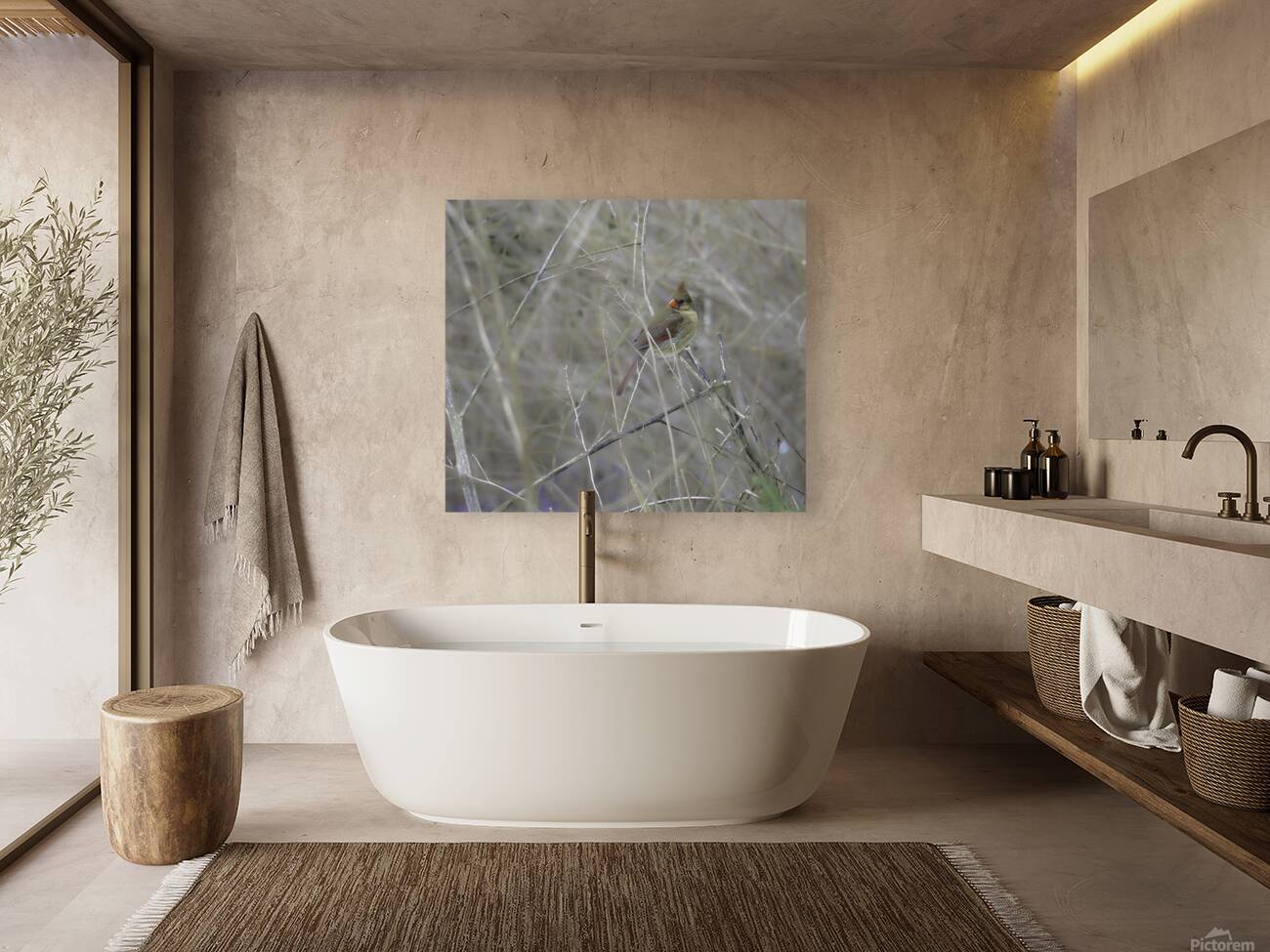 JBS 0660 Reproduction