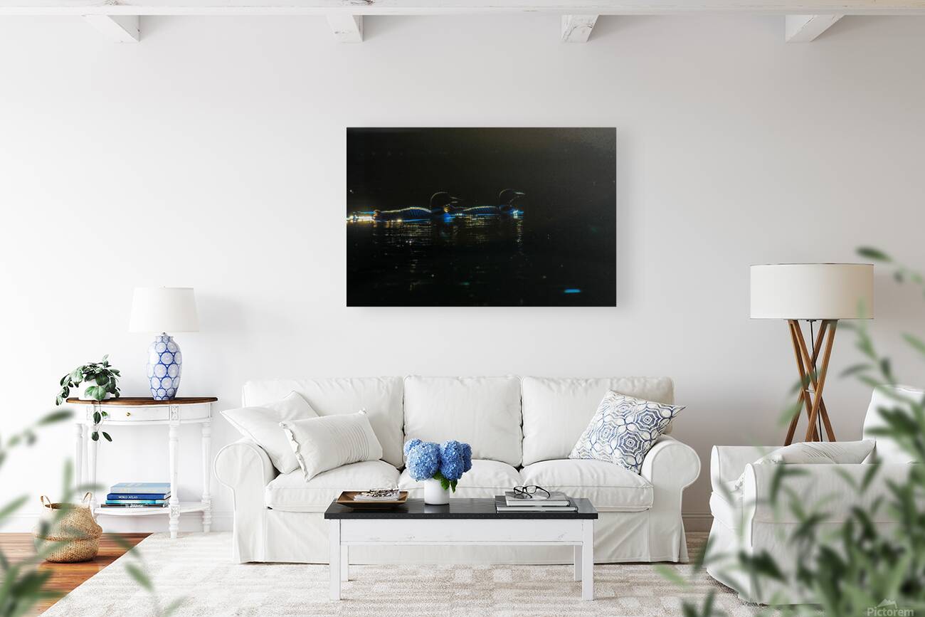 JBS 3176 Reproduction