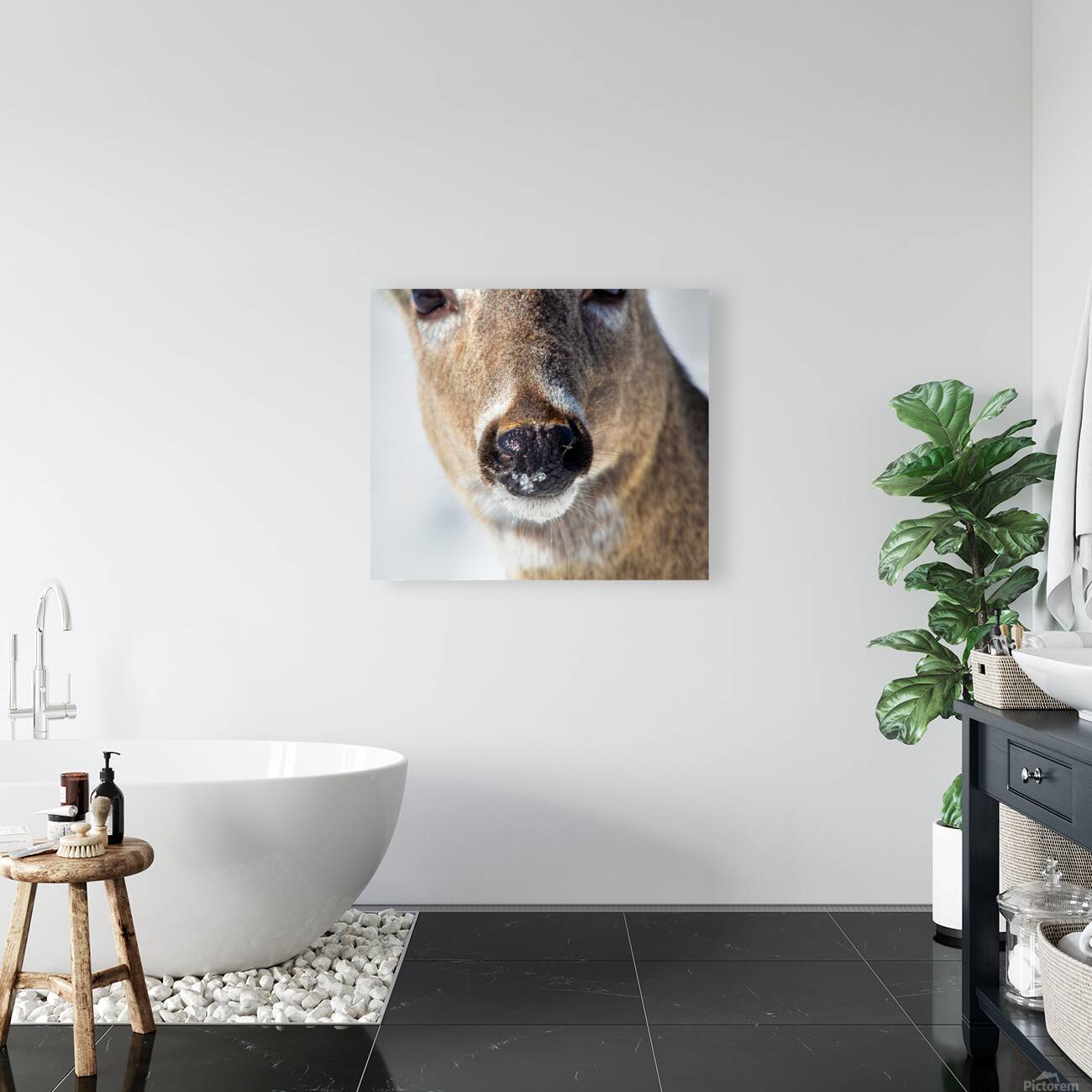 JBS 0540 Reproduction