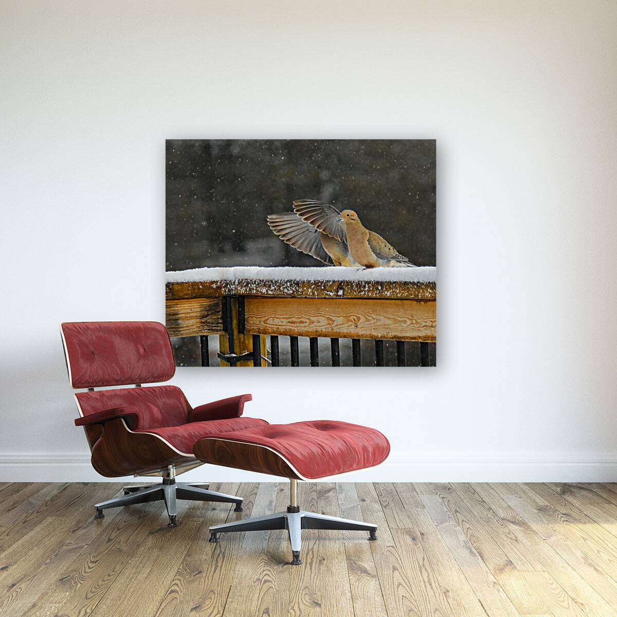  JBS9534 Reproduction