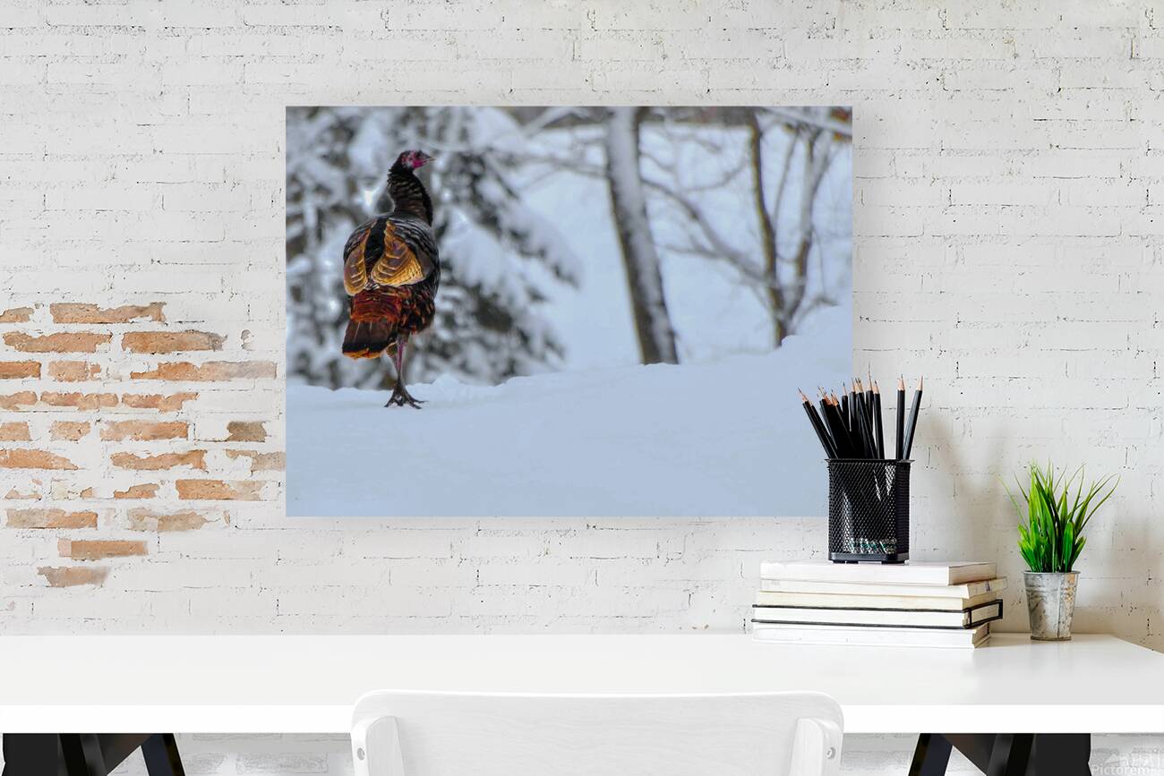 DSC 5553 Reproduction