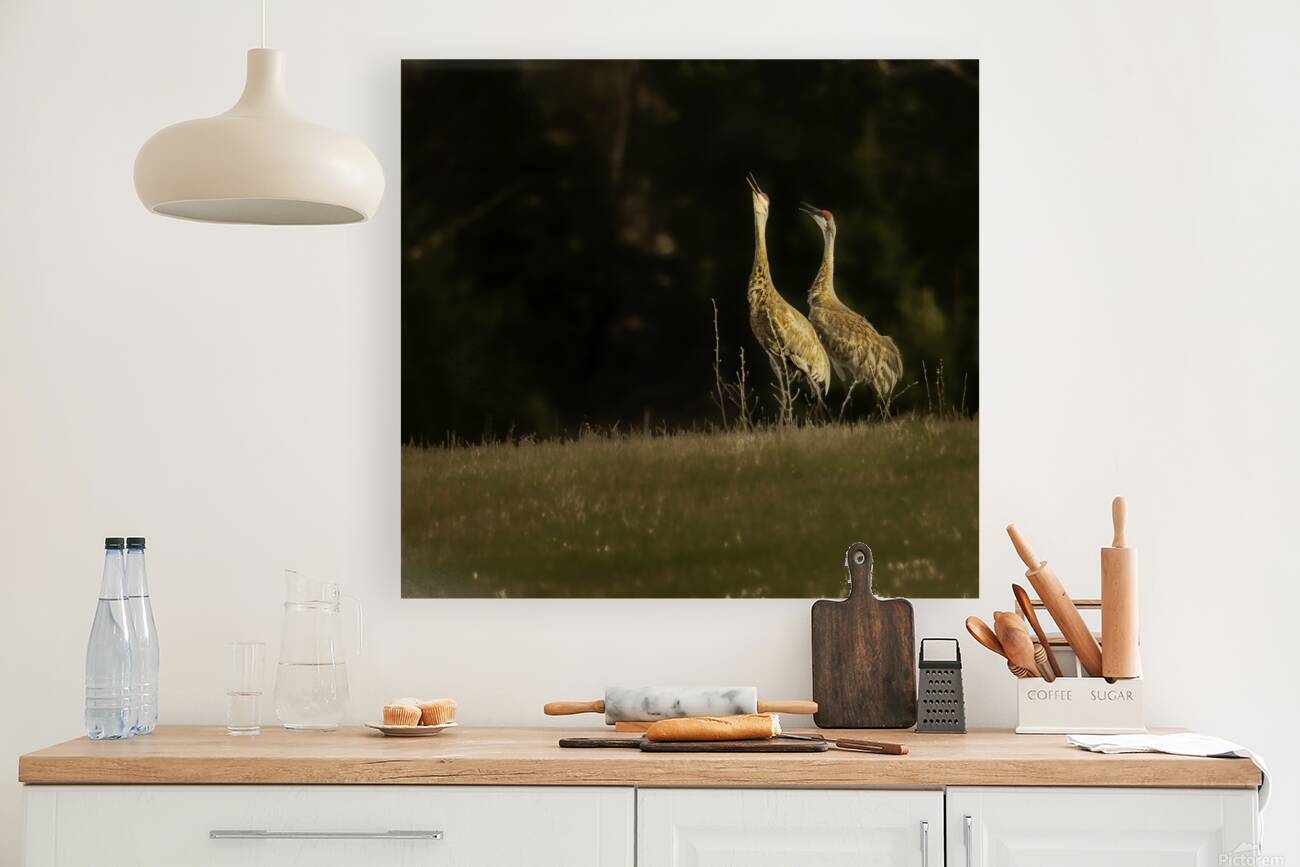 JBS 0918 Reproduction