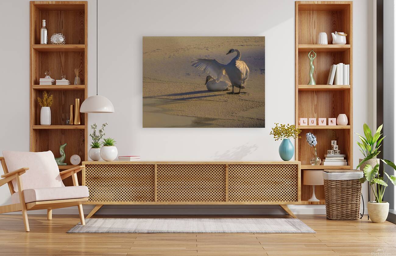 DSC 5806 2 Reproduction