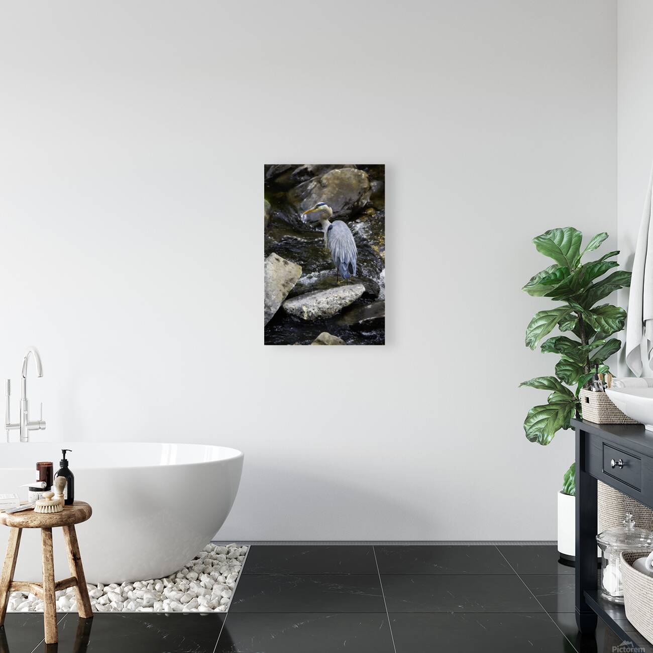 JBS 1574 Reproduction