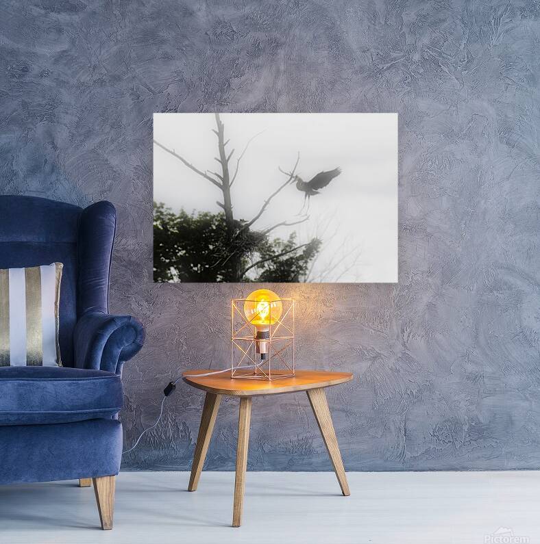 JBS 1831 Reproduction