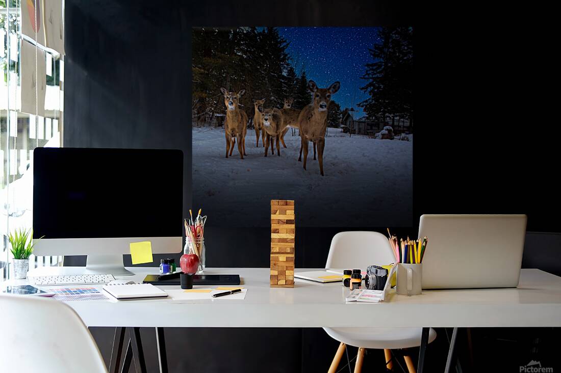 JBS 3174 2  Reproduction