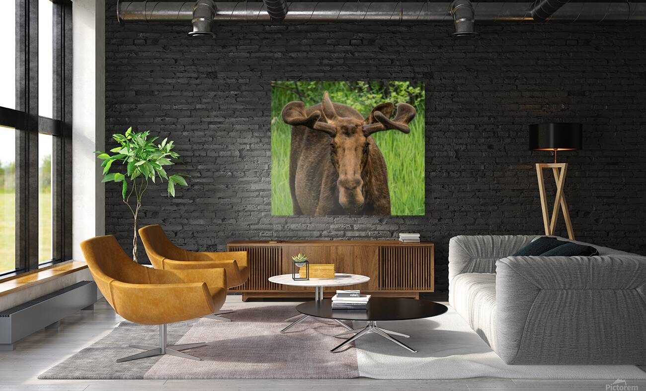 JBS 2500 Reproduction