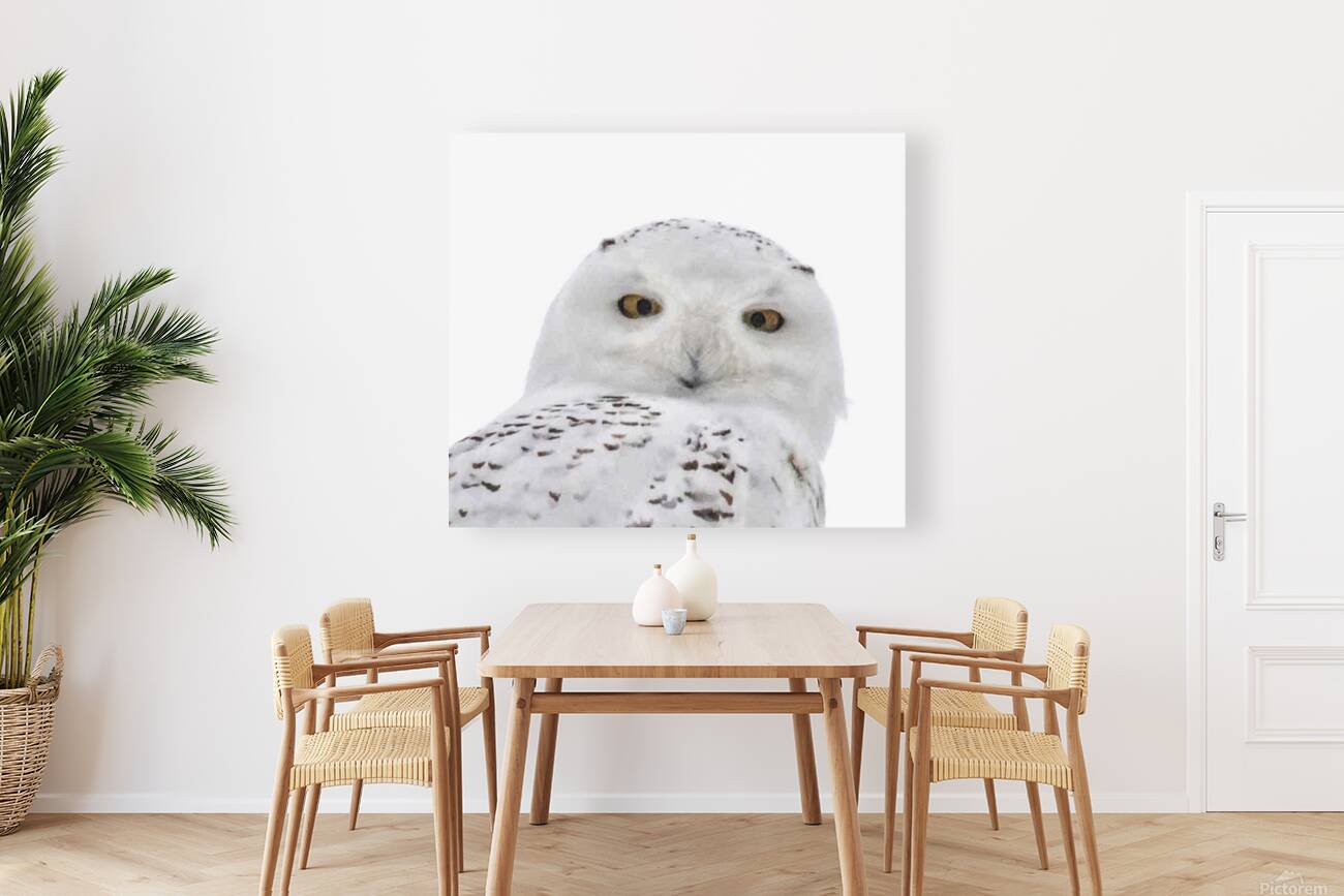 DSC 1876 2 Reproduction