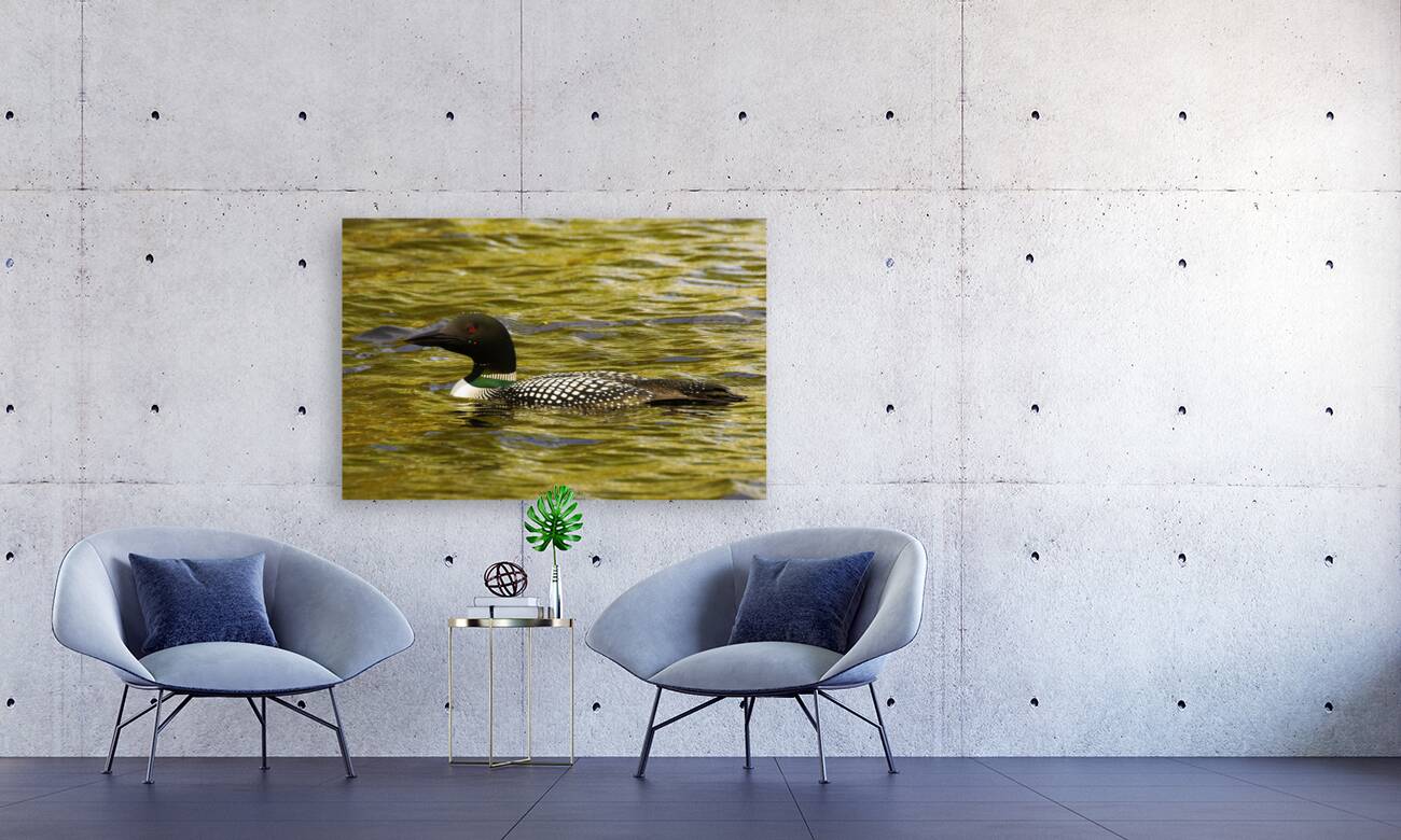 JBS 2224 Reproduction