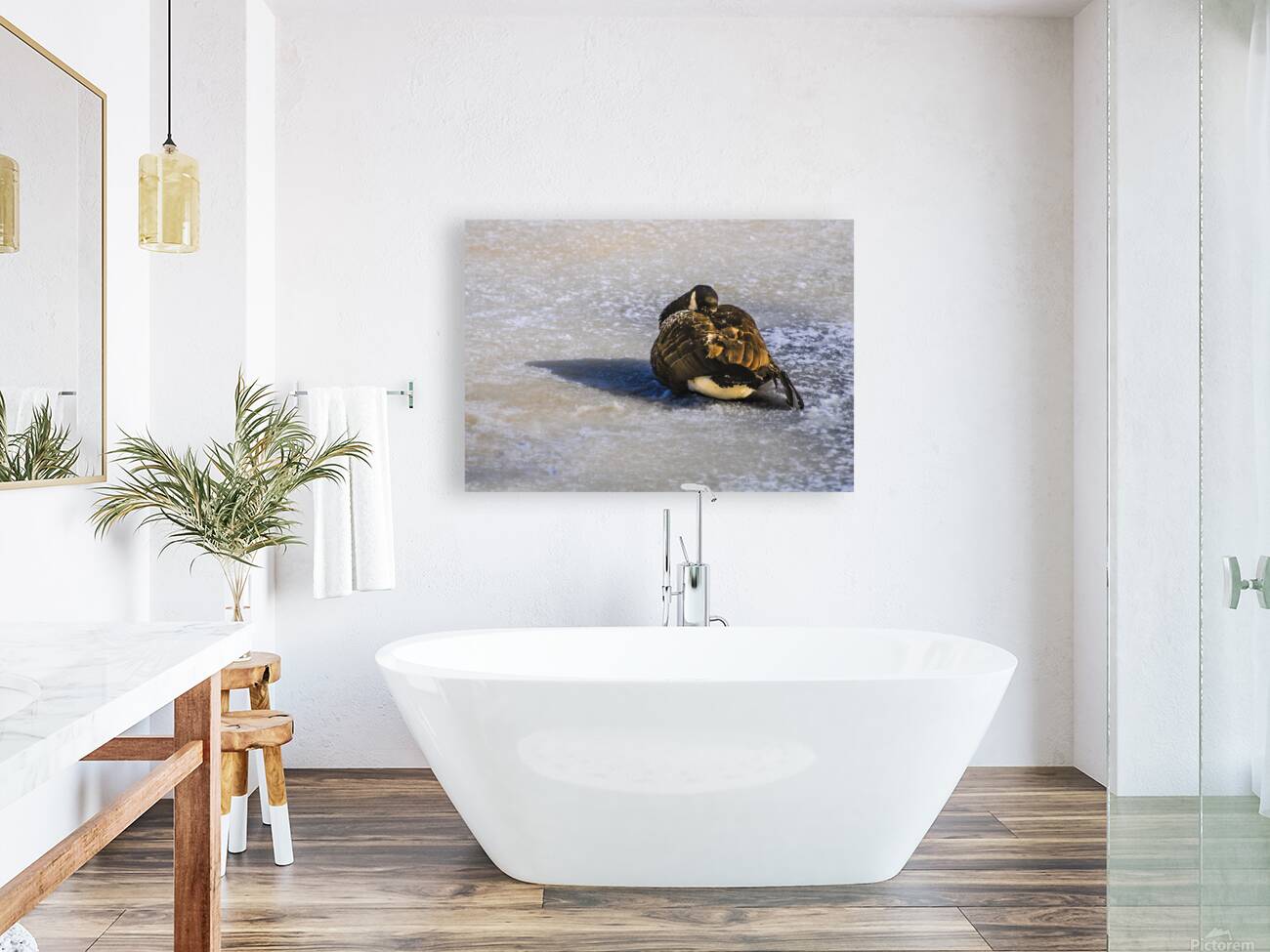 DSC 2285 Reproduction