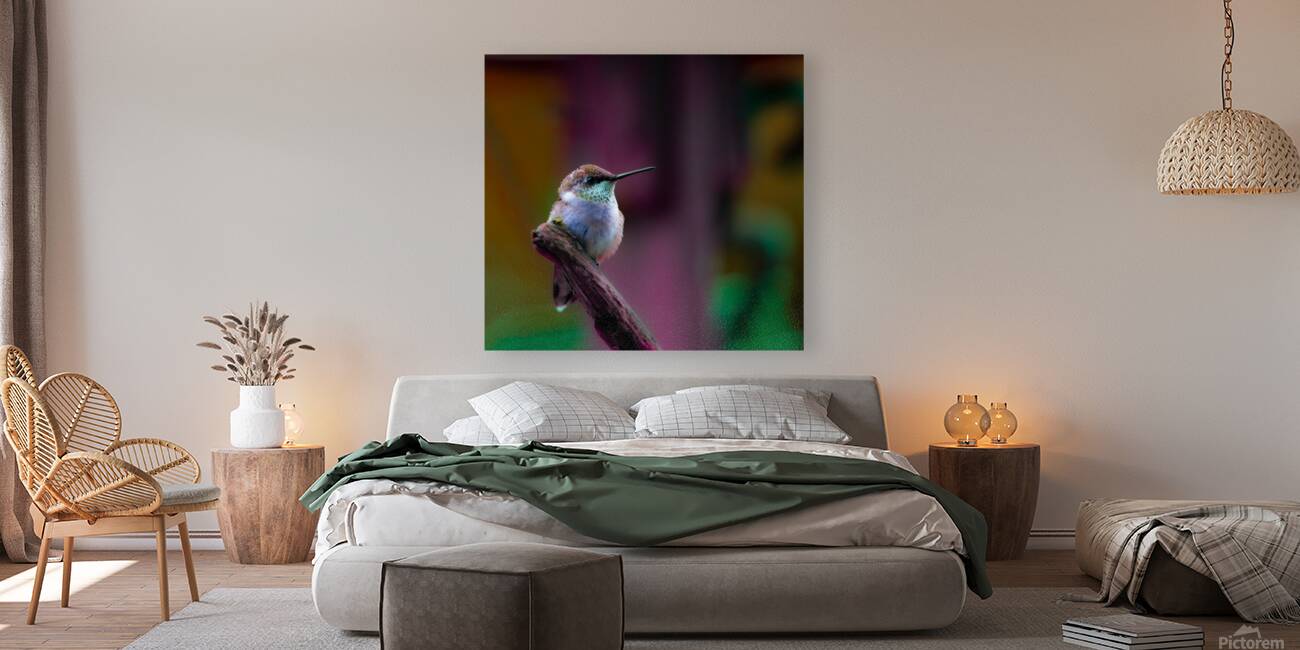 JBS 4382 2 Reproduction