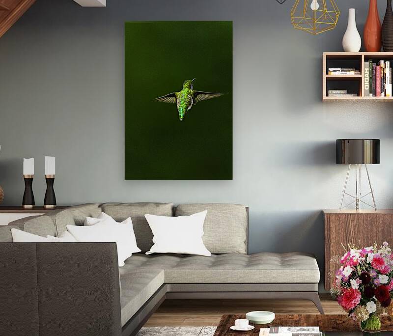 JBS 1467 Reproduction