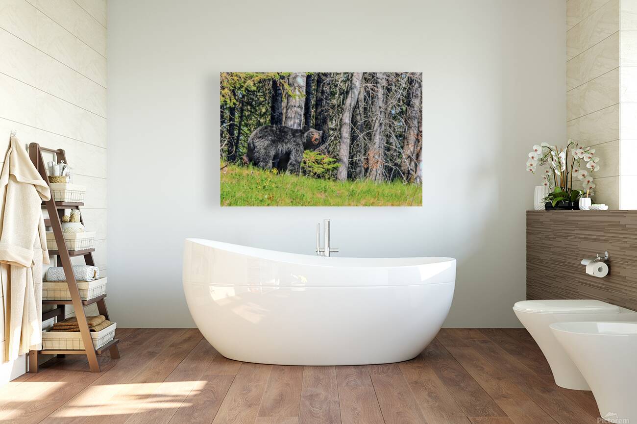 JBS 2617-1 Reproduction