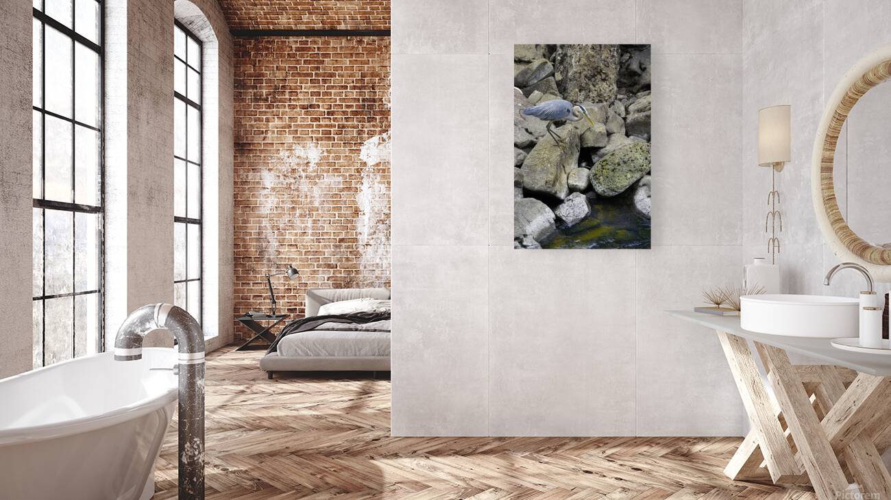 JBS 1629 Reproduction