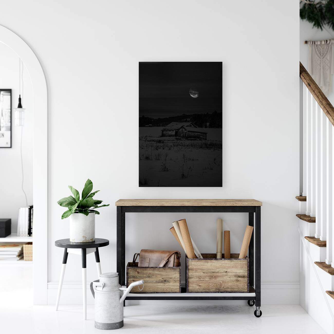 JBS 0143  Reproduction