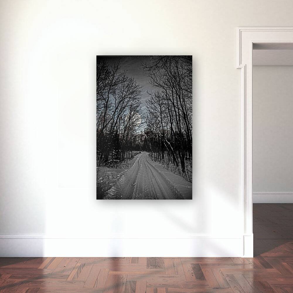 JBS 0236  Reproduction