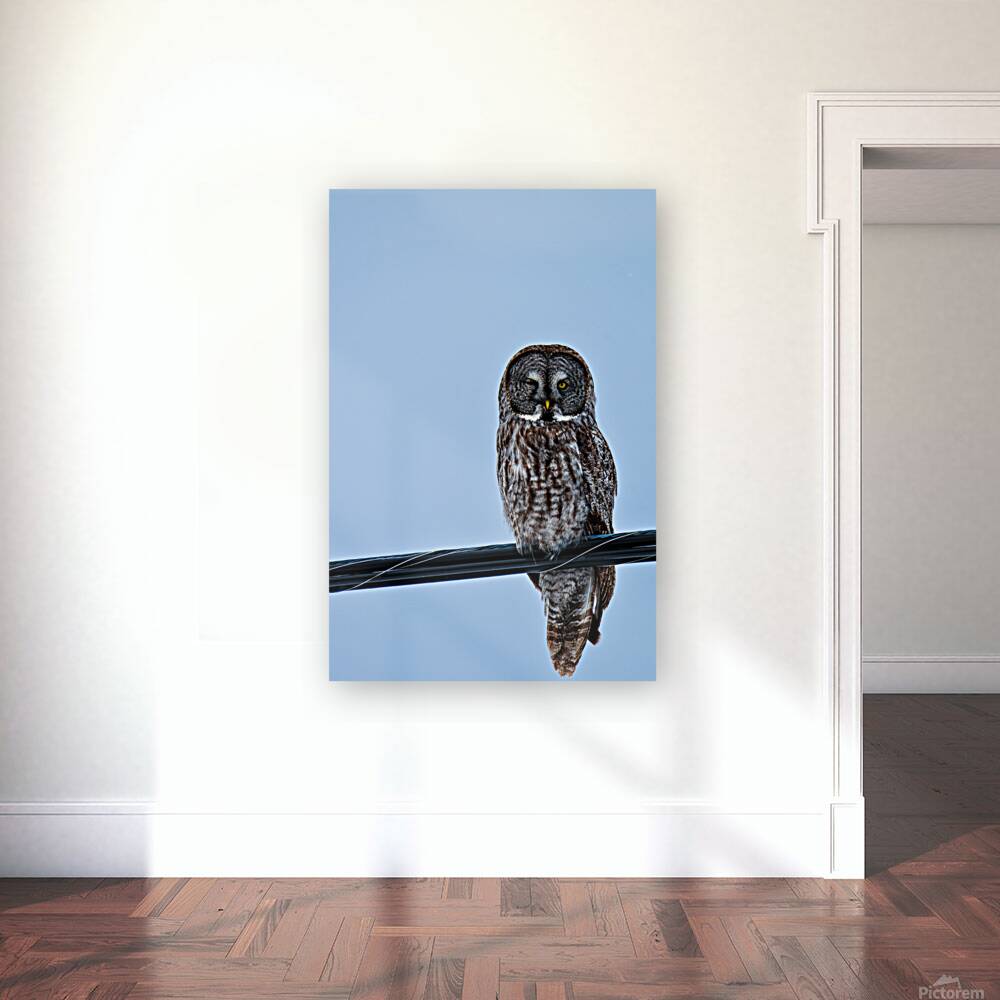 JBS 7303 Reproduction