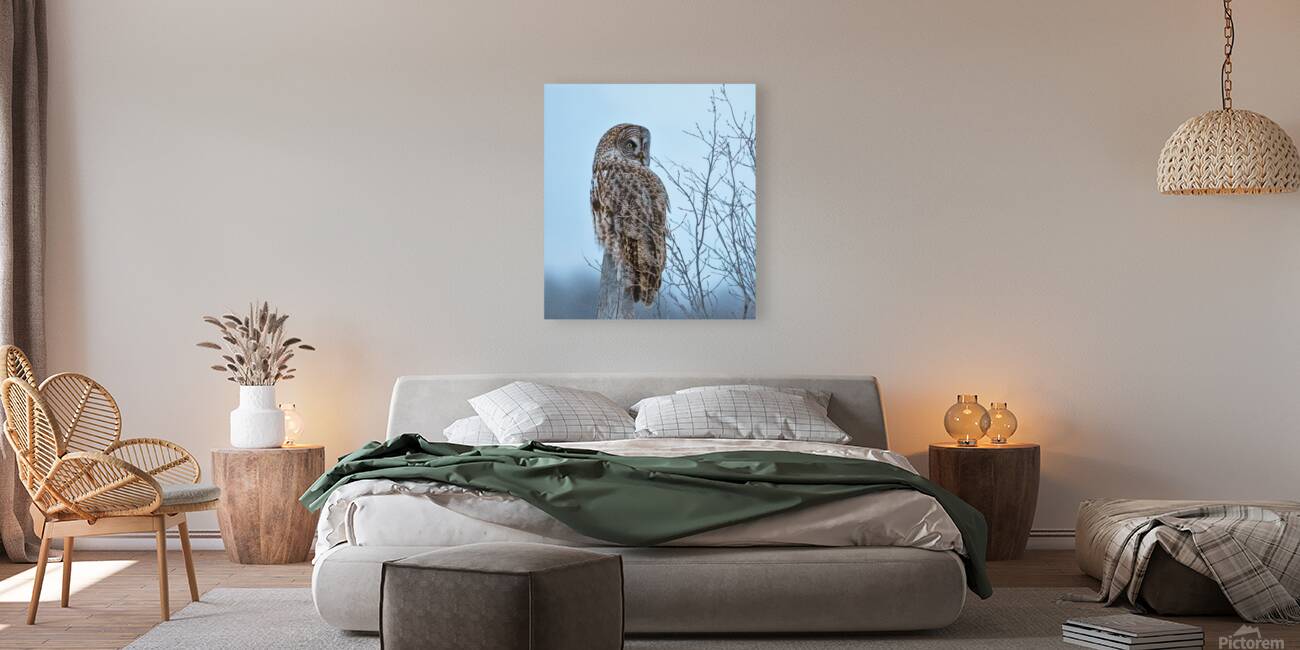 JBS 5394 Reproduction