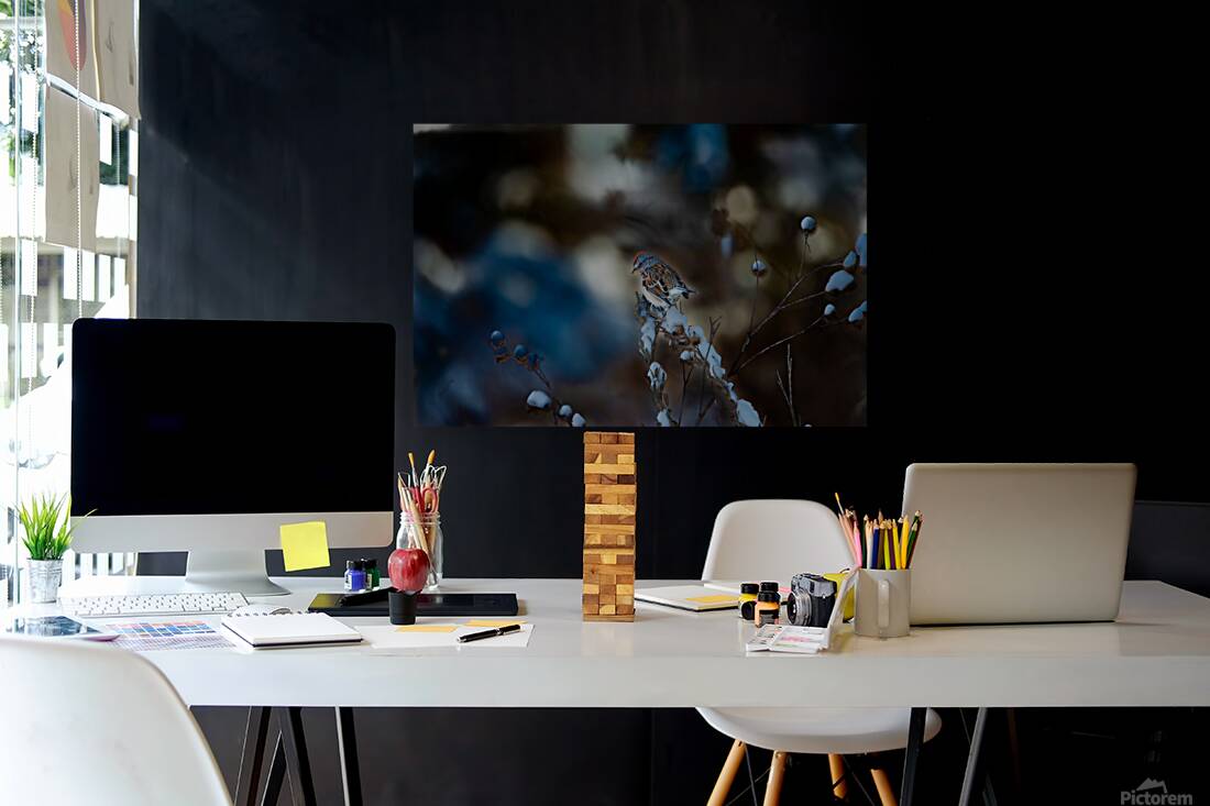 JBS 8295 Reproduction