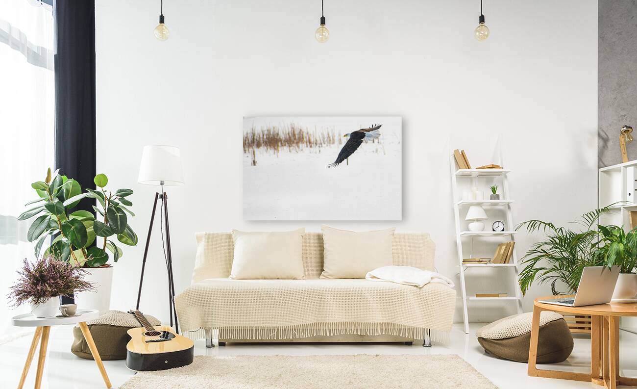 JBS 8846 Reproduction