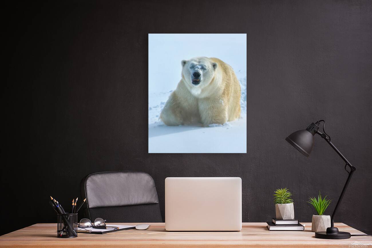 JBS 9357 Reproduction