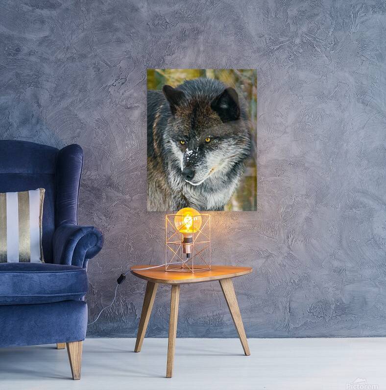 JBS 9093 Reproduction