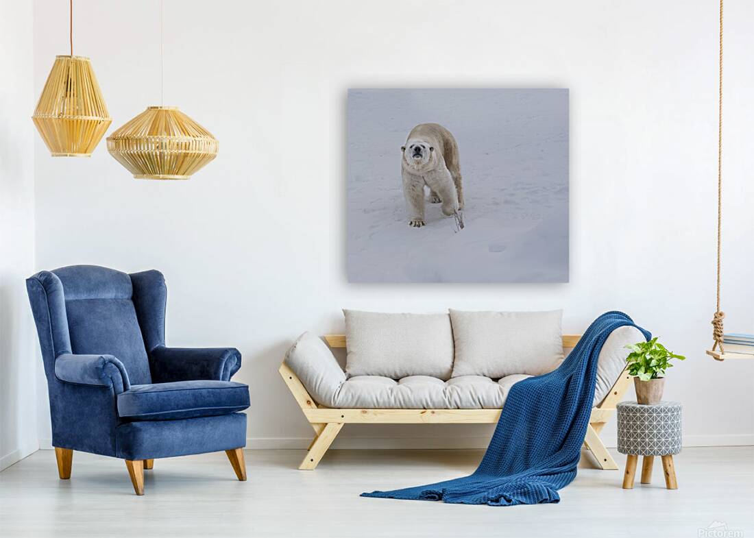 JBS 8219 Reproduction