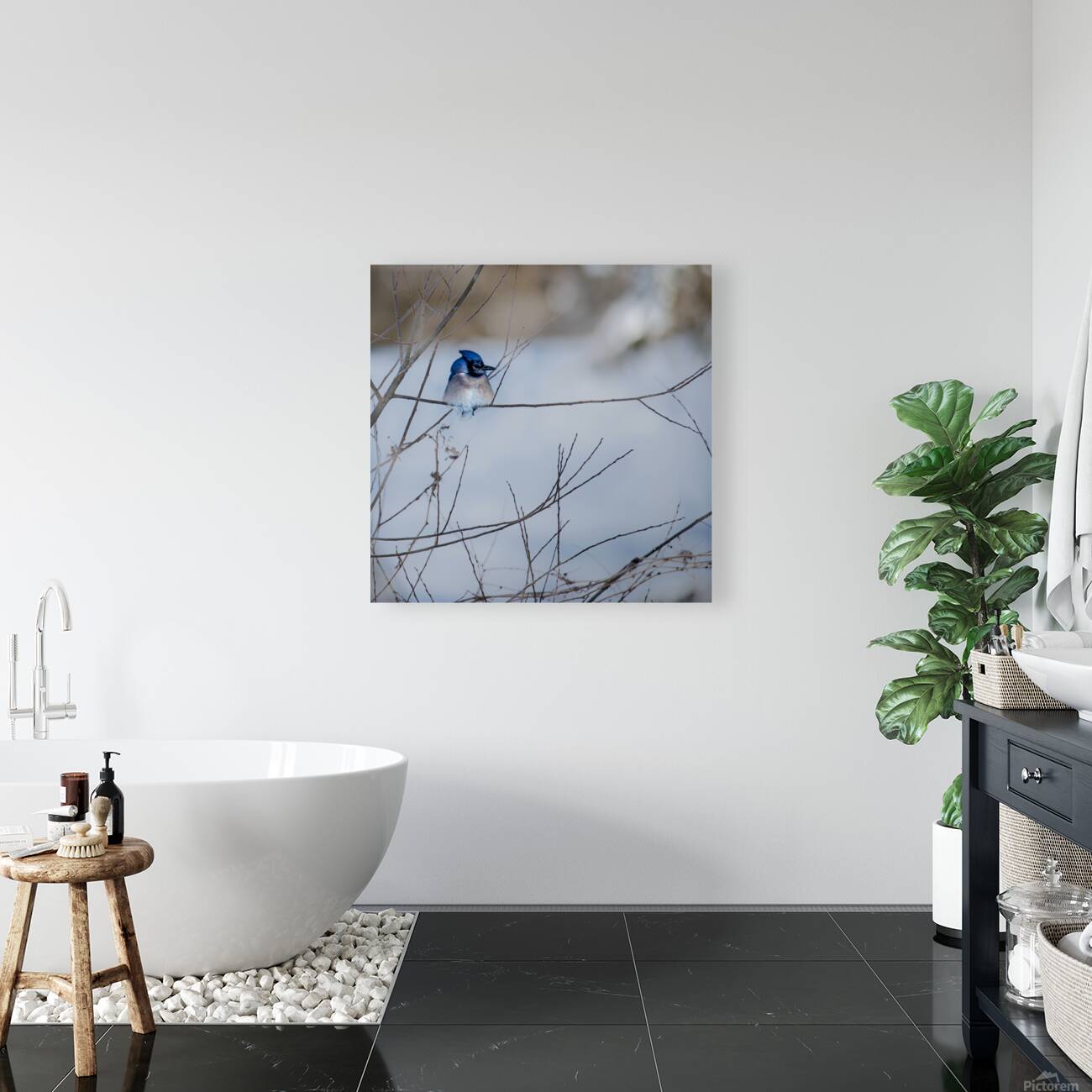 JBS 9522 Reproduction