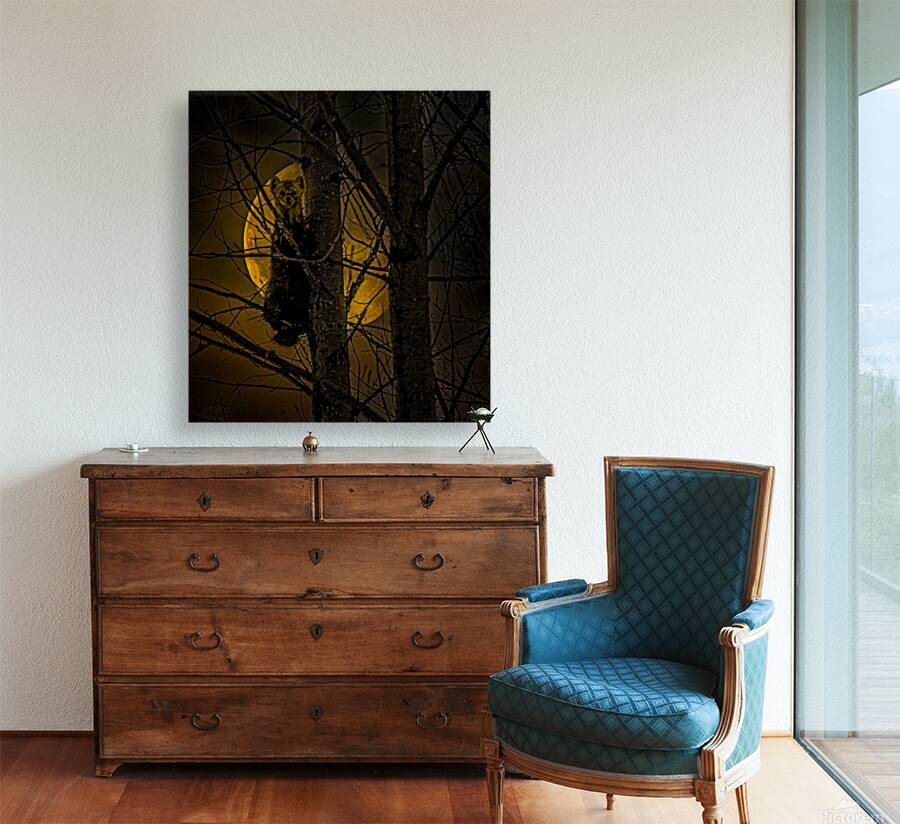 JBS 52971 Reproduction