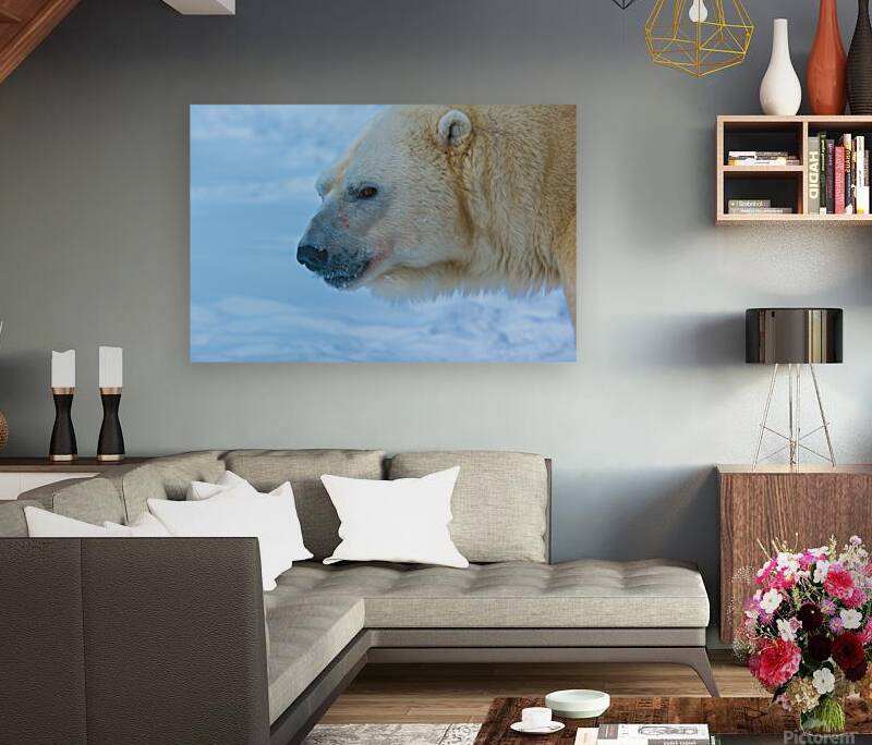 JBS 8465 Reproduction