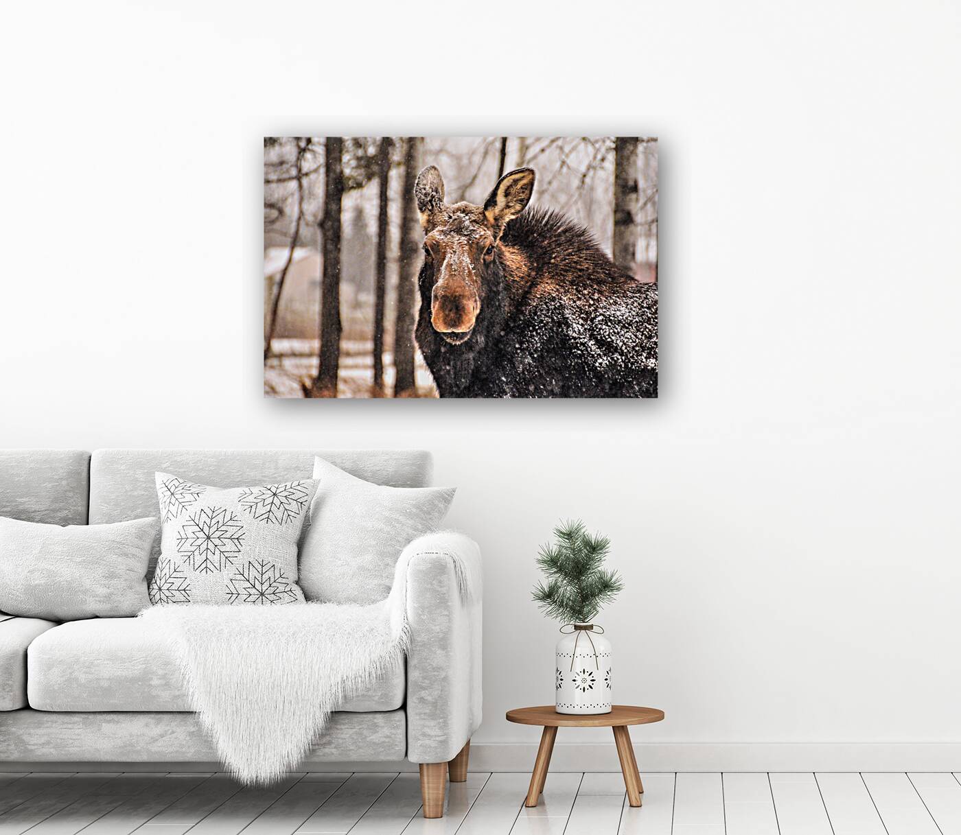 JBS 4896  Reproduction