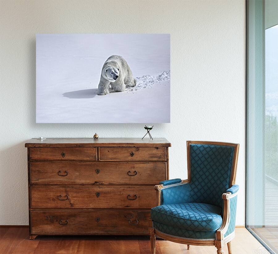 JBS 9366 Reproduction