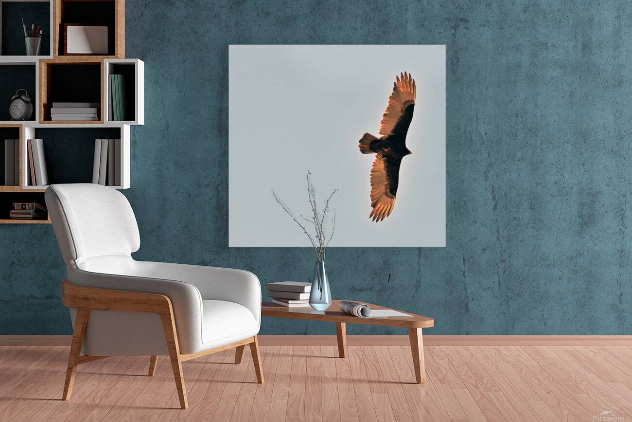 JBS 9485 2 Reproduction