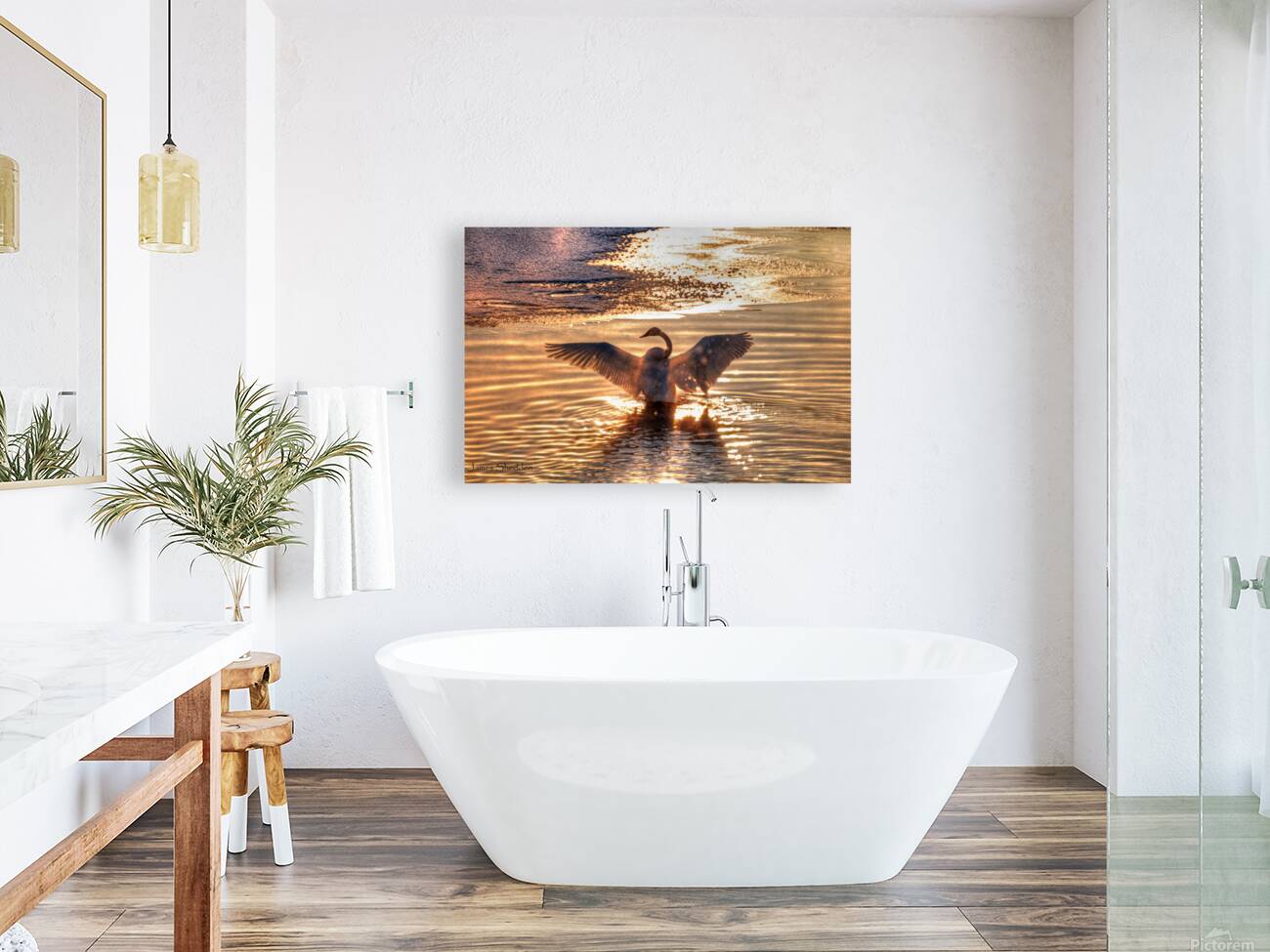 JBS 5877  Reproduction