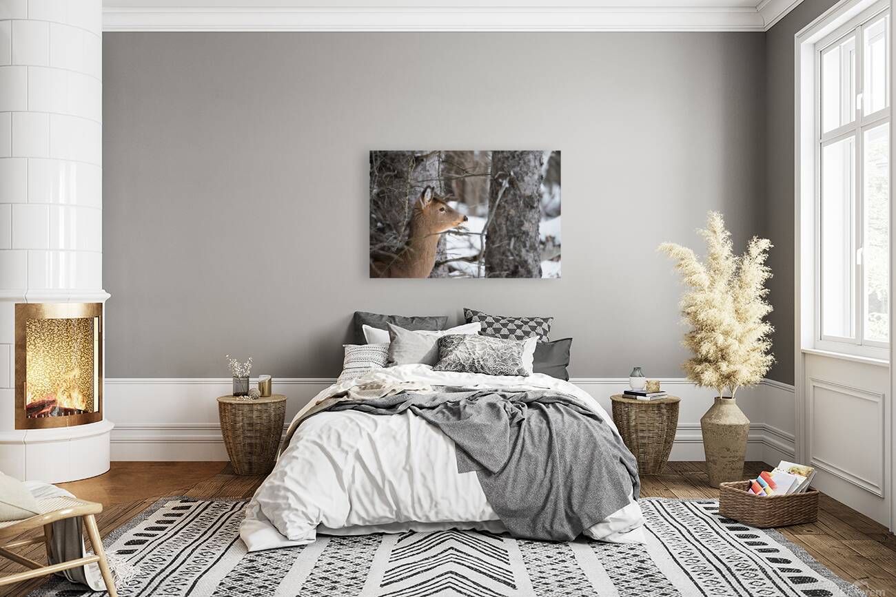 JBS 8968 Reproduction