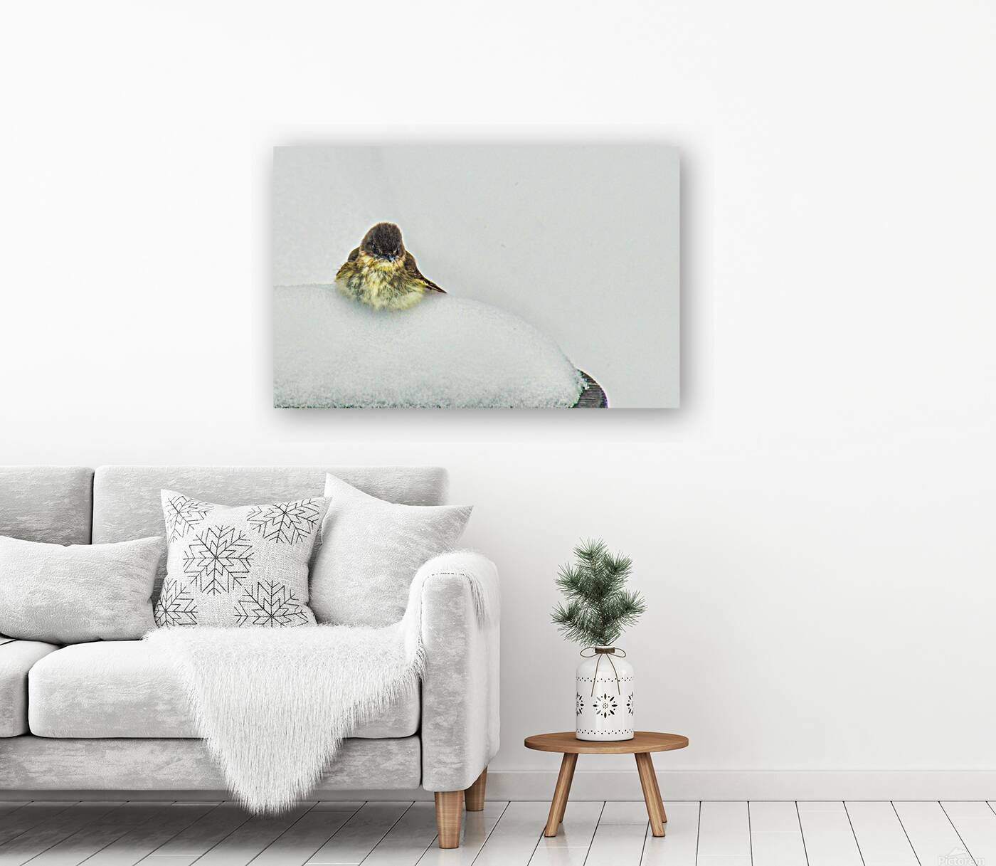 JBS 9269 Reproduction