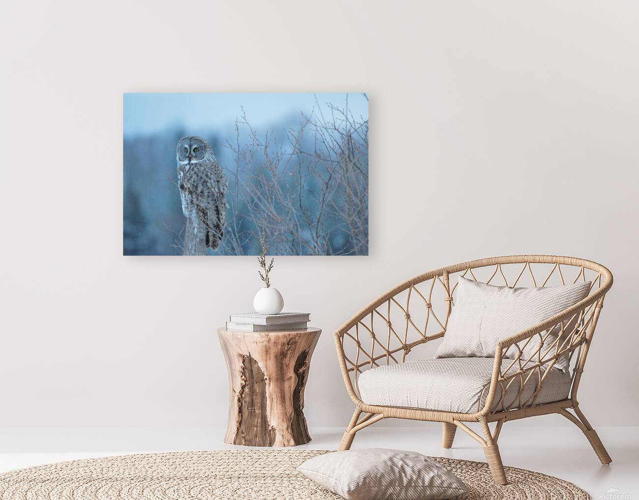 JBS 5393 Reproduction