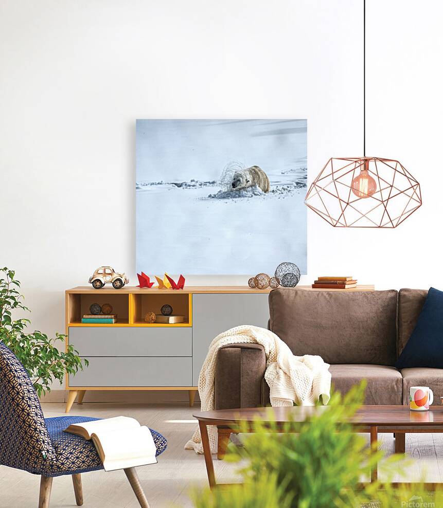 JBS 9336 Reproduction