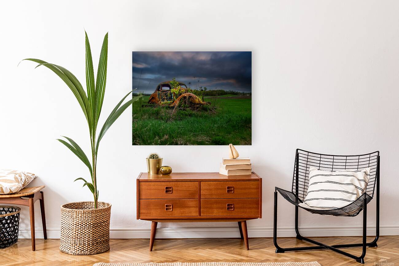 ZJS 9866 Reproduction