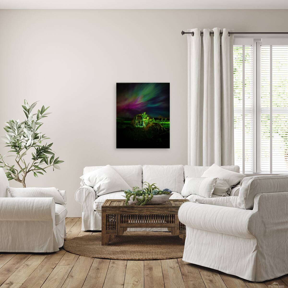 ZJS 9879 Reproduction