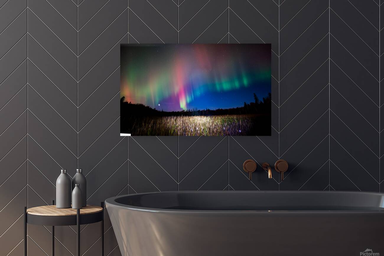 ZJS 8404 Pano Edit Reproduction