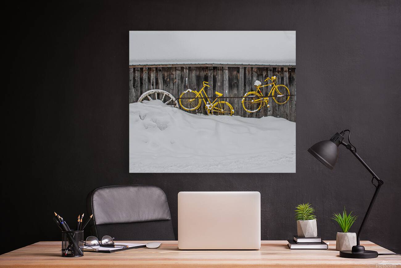 ZJS 9138 Reproduction